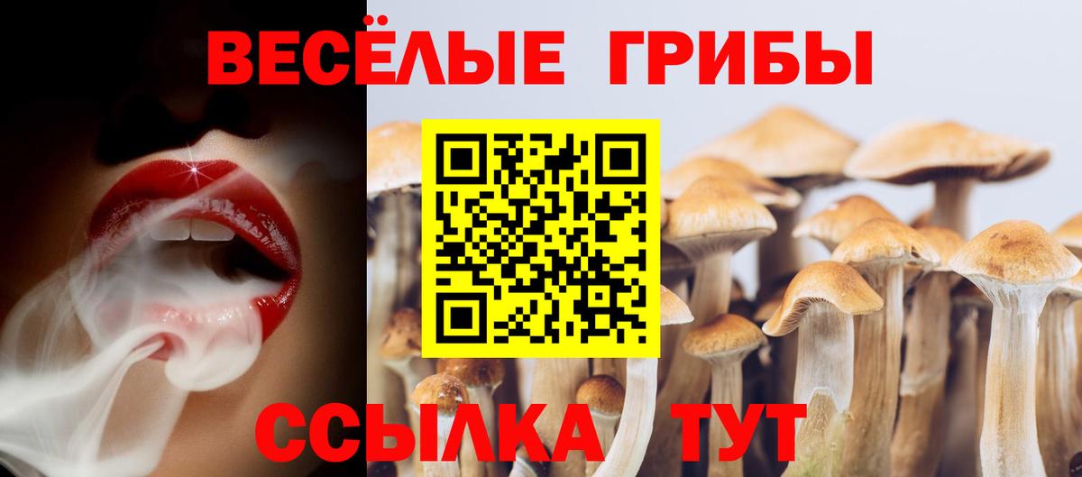 Мытищи  Галлюциногенные грибы мухоморы  Вход с VPN 